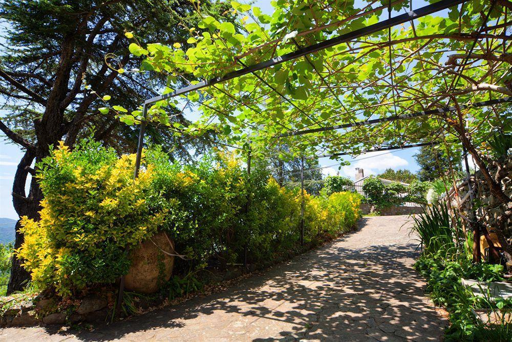 Oasi Verde Castiglione Chiavarese Exterior photo